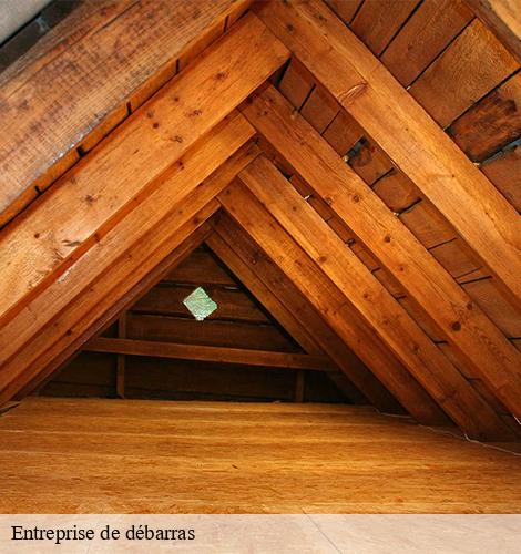 Entreprise de débarras le-raincy-93340 SF Débarras Maison et metaux